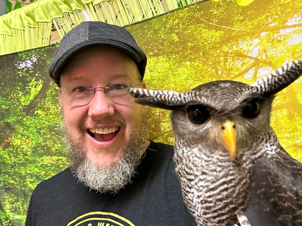 Owl cafe